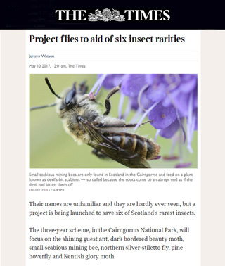 Buglife in The Times Newspaper