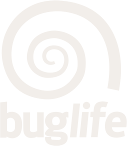 Buglife