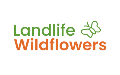 Wildflower logo