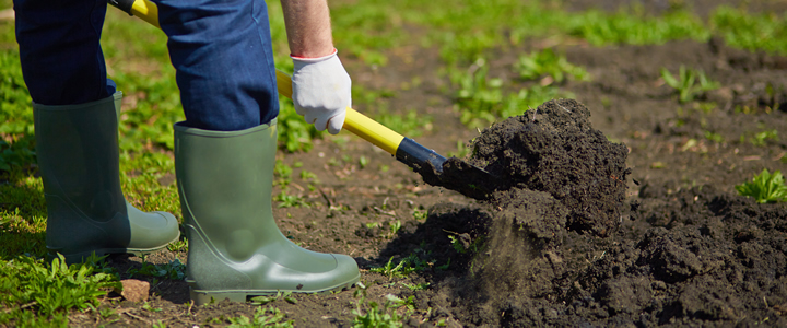 Gardener digging in the garden - Boston Seeds