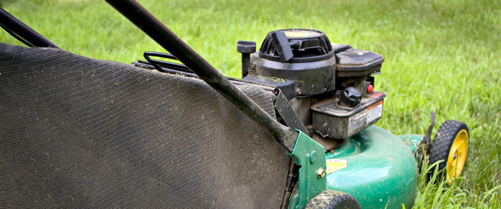 Mower on grass - Boston Seeds