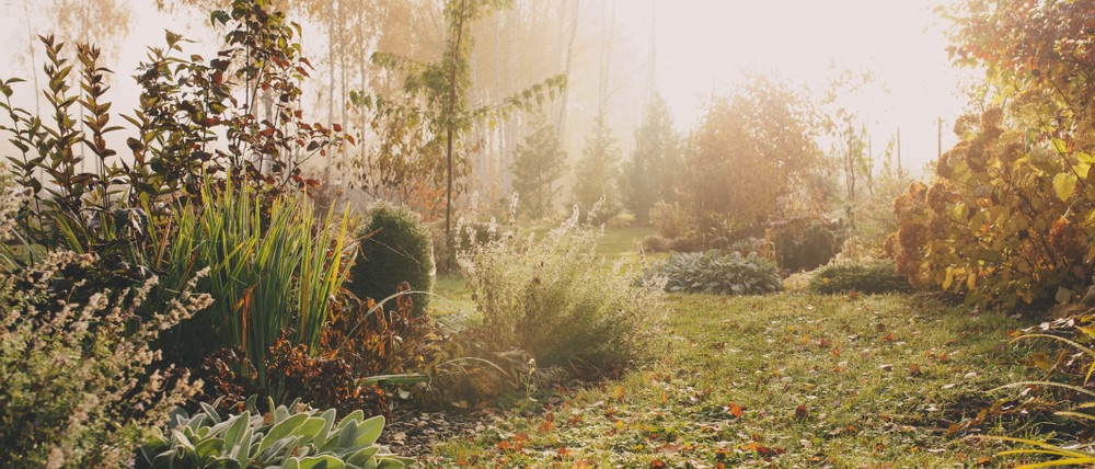 November Lawn Maintenance | Late Autumn Lawn Care - Boston Seeds