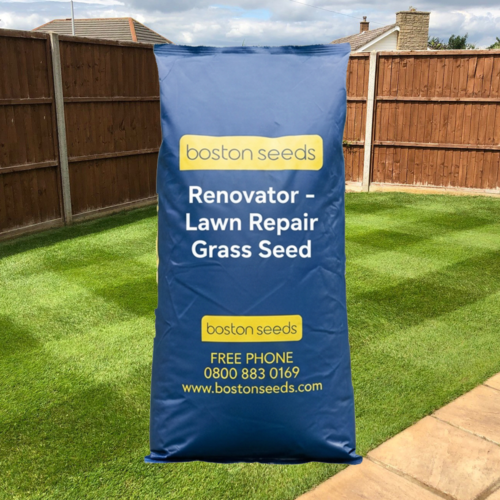 BS Renovator - Lawn Repair Grass Seed