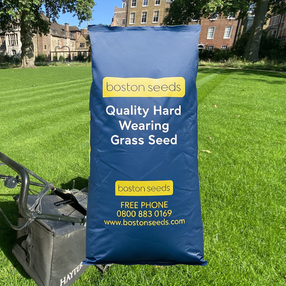 BS Quality Hard Wearing Lawn Seed