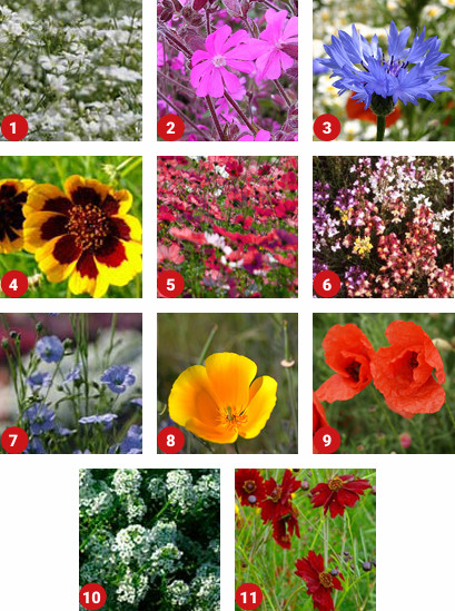 ColourMax 1 Mixture Contents