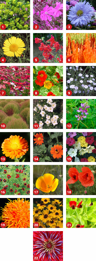 ColourMax 3 Mixture Contents