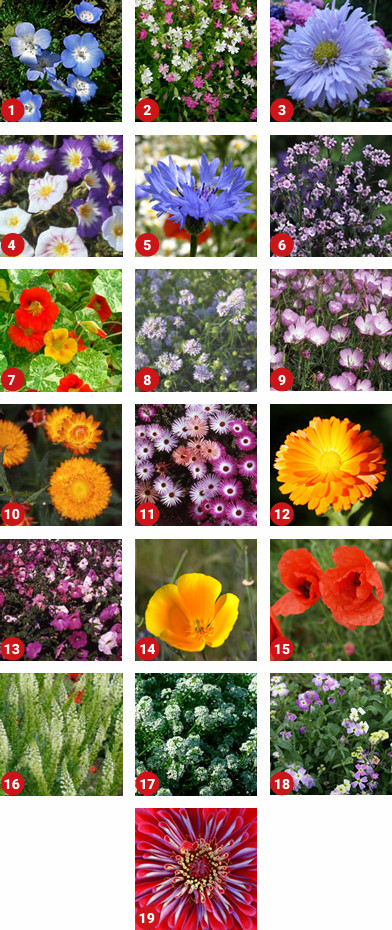 ColourMax 4 Mixture Contents
