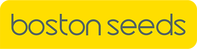 Boston Seeds Logo