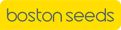 Boston Seeds Logo