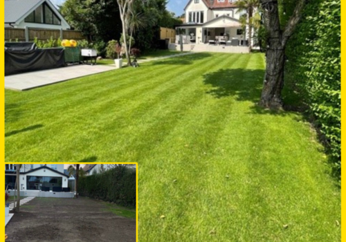 New Lawn From Seed