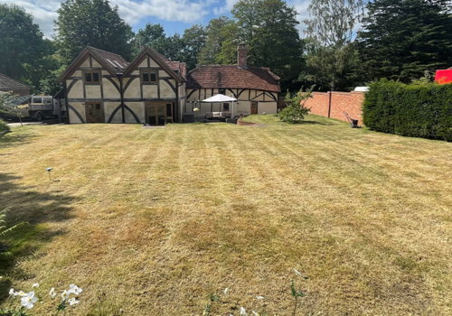 Heatwave lawn care