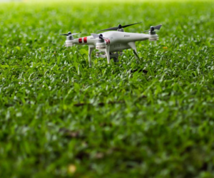 Drone on Grass - What's the Hardest Wearing Grass Seed? - Boston Seeds