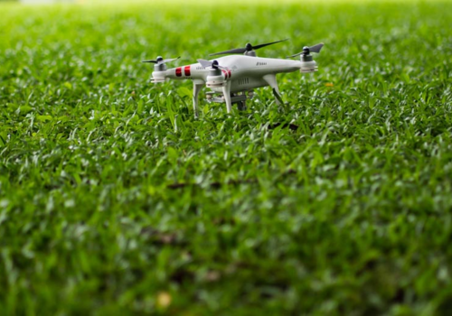 Drone on Grass - What's the Hardest Wearing Grass Seed? - Boston Seeds