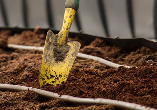 Soil and Trowel - How to Maintain a Wildflower Garden - Boston Seeds