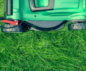 Lawnmower on Grass - Mowing Your Lawn Tips - Boston Seeds