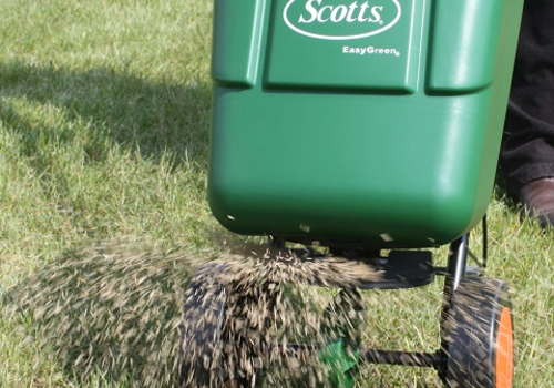 Grass Seed Spreading - Grow a Lawn Using Grass Seed - Boston Seed