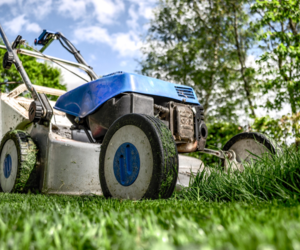 April Lawn Care Tips - Boston Seeds