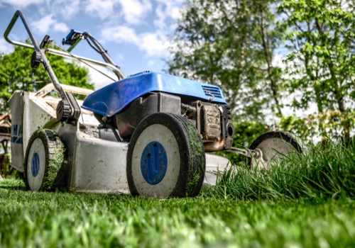 April Lawn Care Tips - Boston Seeds