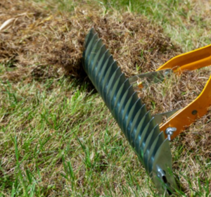 lawn-care-maintenance-tips