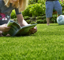 Lush Green Grass - Buy grass seed from Boston Seeds