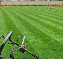 Mown grass - Lawn Seed UK Supplier - Boston Seeds