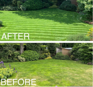 Lawn Transformation Kits