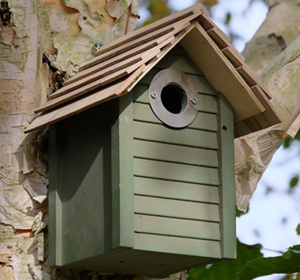 Bird Boxes and Feeders
