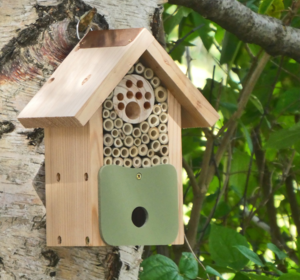 Bee and Bug Hotels