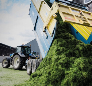 Arable Silage Mixtures