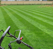 Mown grass - Lawn Seed UK Supplier - Boston Seeds