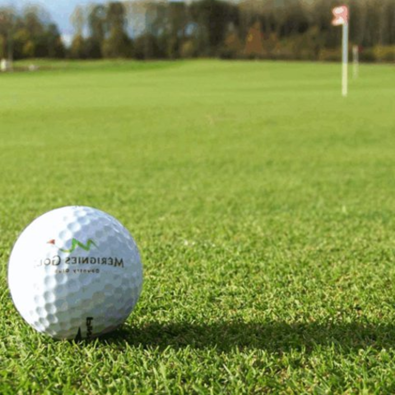 EuroGrass Pro Bent Grass Seed