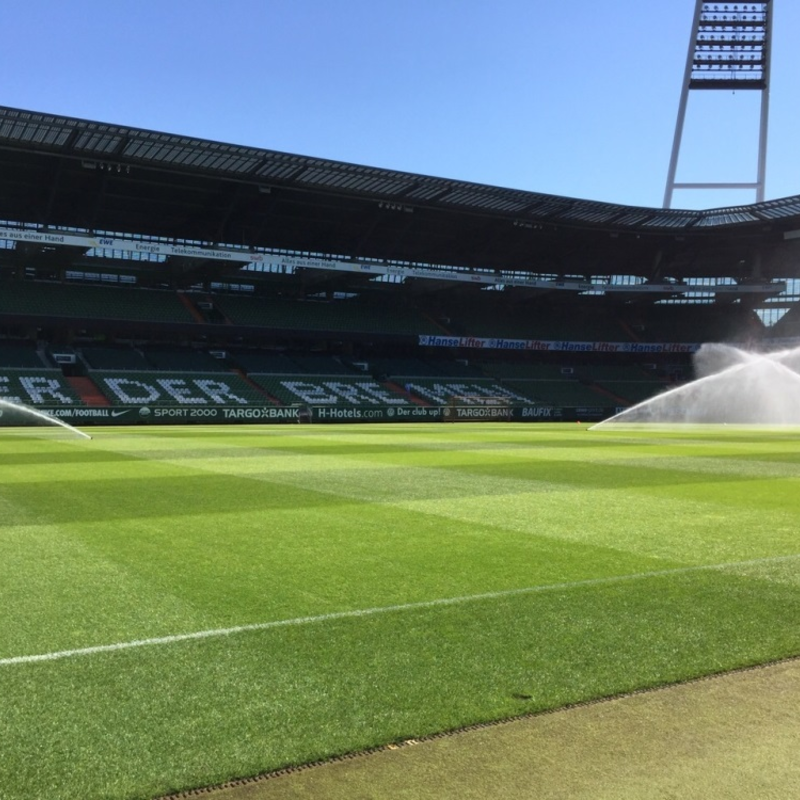 EuroGrass Pro Pitch Grass Seed