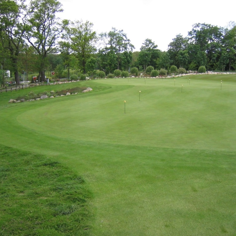 EuroGrass Pro Rye Greens Grass Seed