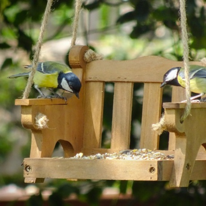 swing, outdoor, birds