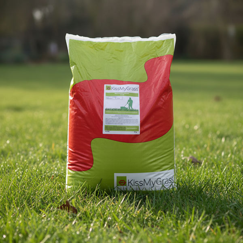 granular lawn fertliser for new lawns