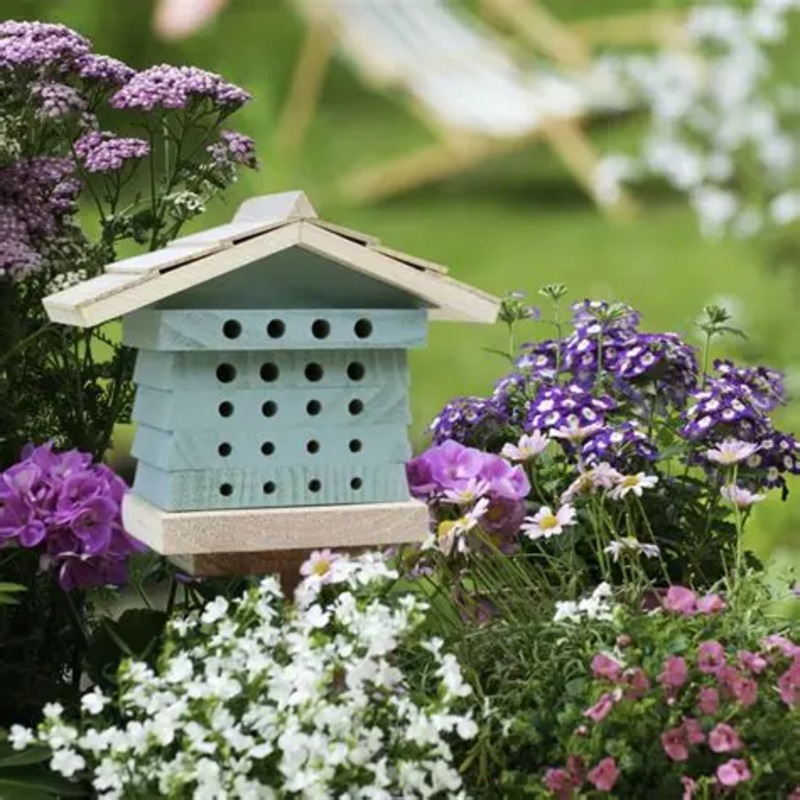 Beverston Bee Hotel