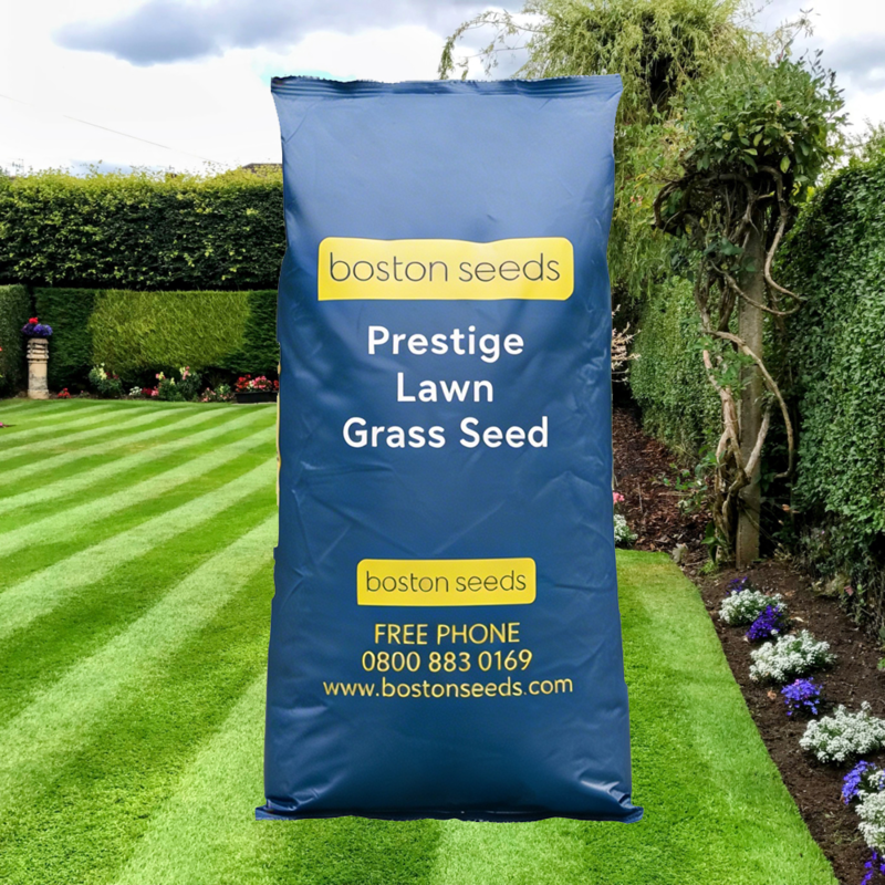 BS Prestige Luxury Grass Seed