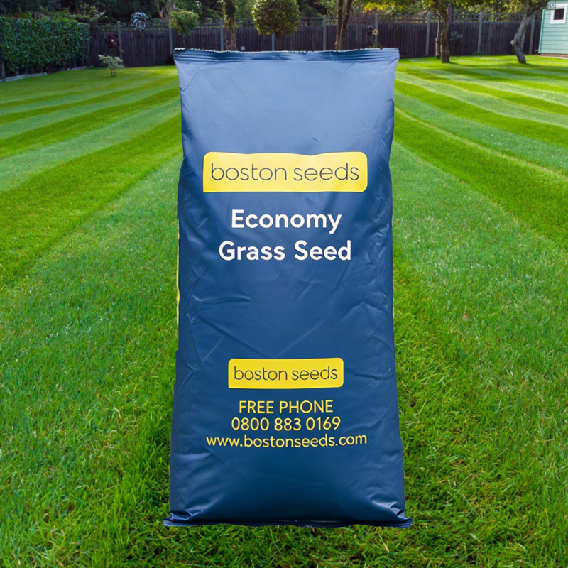 BS Economy Fast Growing Grass Seed