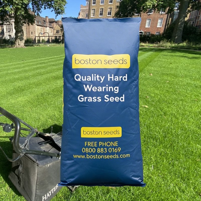 BS Quality Hard Wearing Lawn Seed