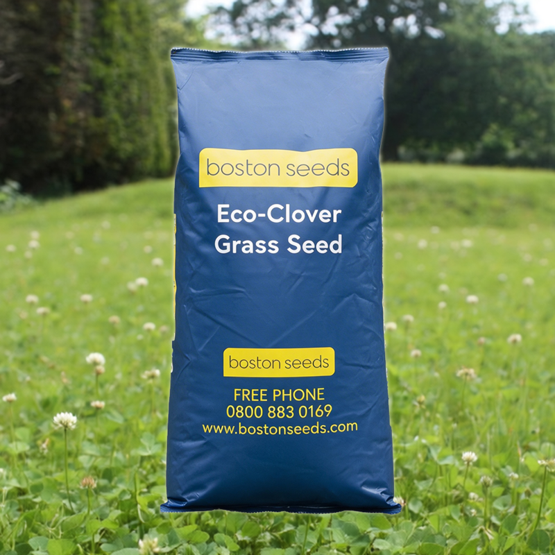 BS Eco-Clover Grass Seed