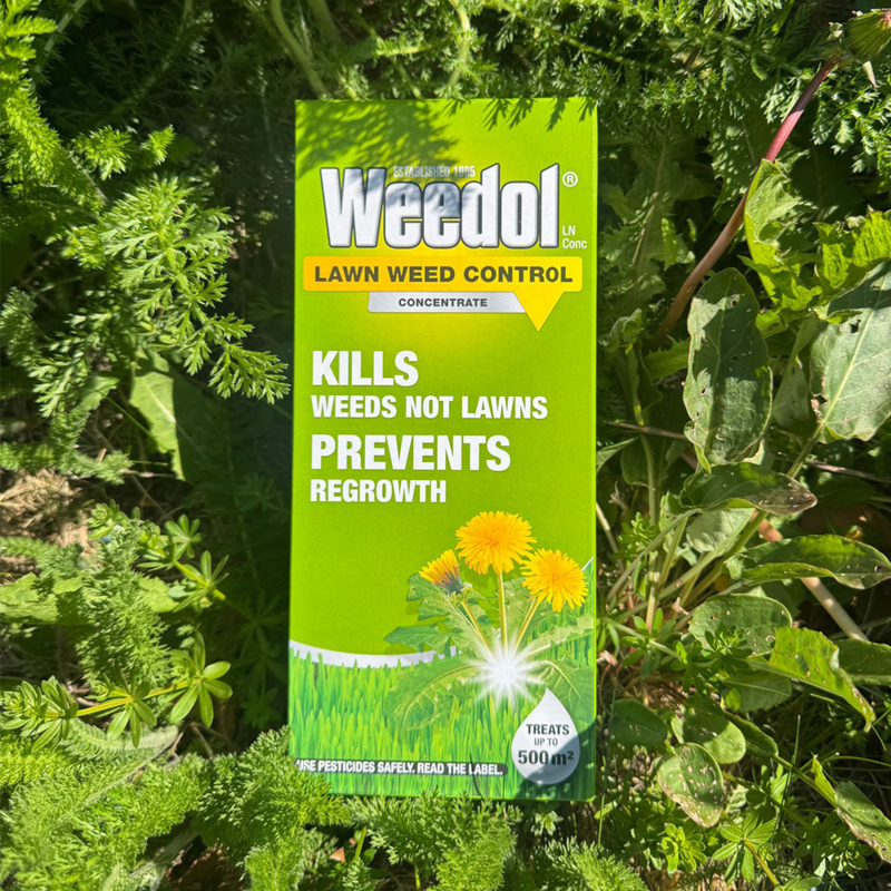 Weedol - Selective Lawn Weedkiller