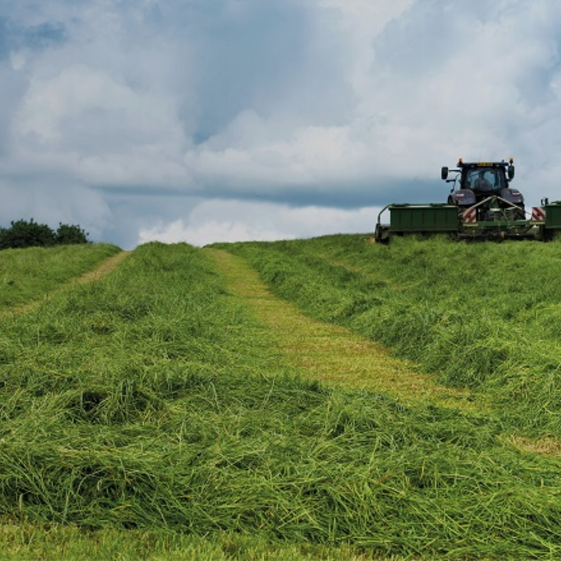 BS Arable Silage Mixture 3