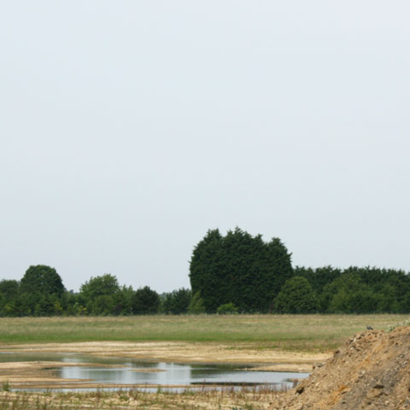 BS Land Reclamation Grass Seed (with ryegrass)