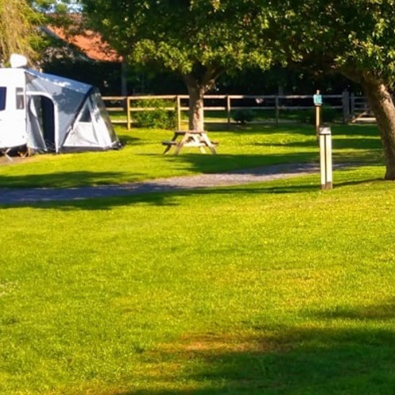 BS Caravan Park Grass Seed