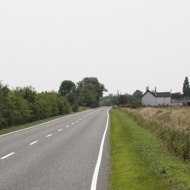 BS Road Verge and General Purpose with Clover