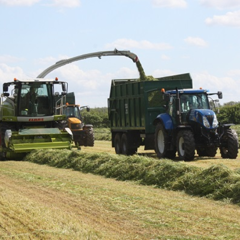 Silage and Haylage