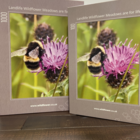 Jigsaw Puzzle - Bumble Bee