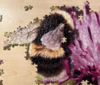 Jigsaw Puzzle - Bumble Bee