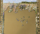 Jigsaw Puzzle - Native Flora