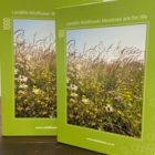 Jigsaw Puzzle - Traditional Wildflower Meadow